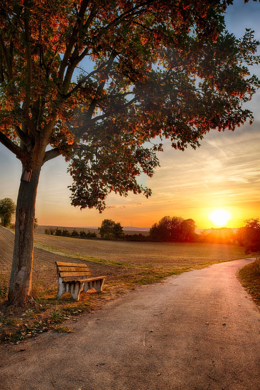 Sunset on Rural Path