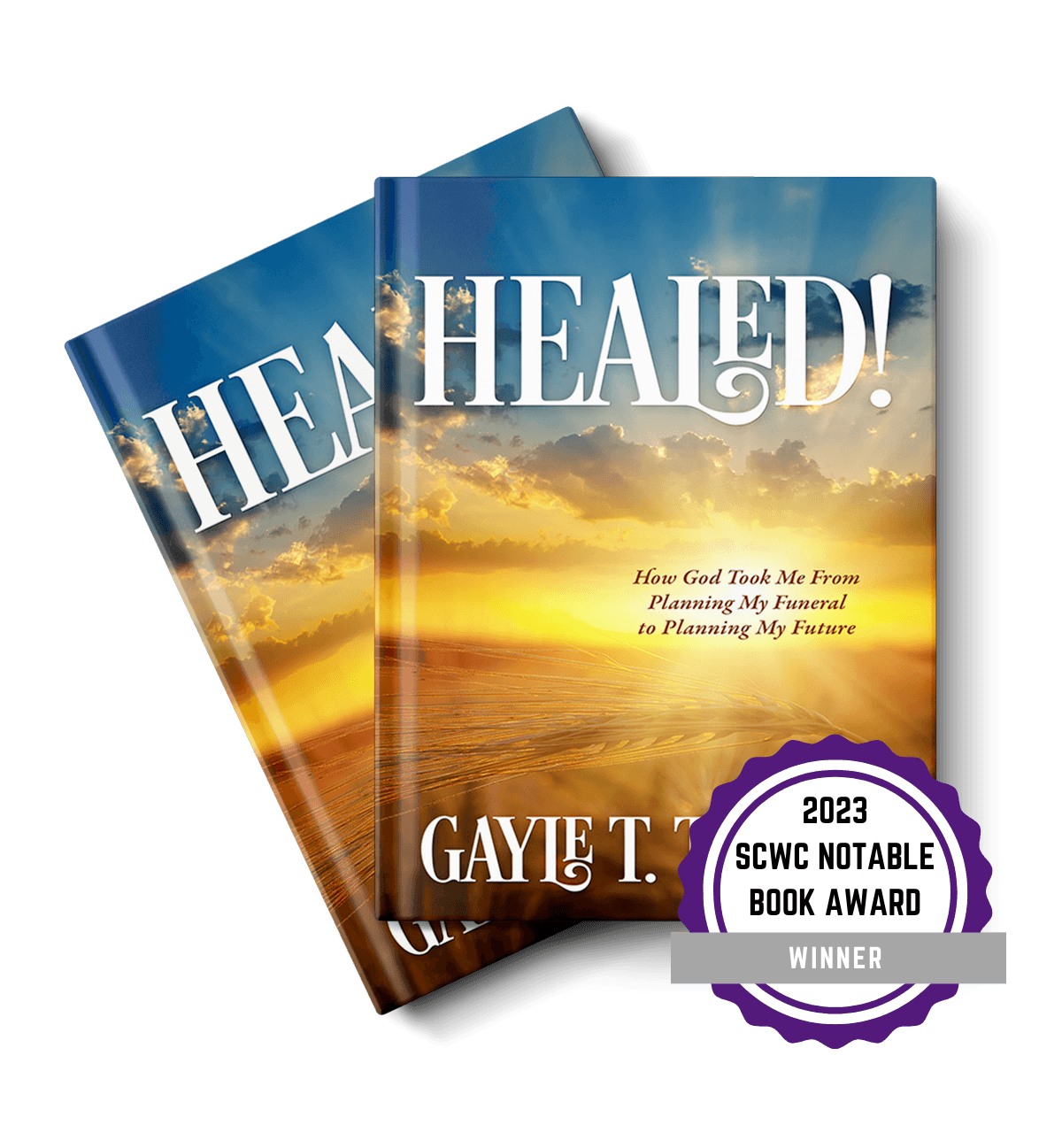 Healed by Gayle T. Taylor How God Took Me From Planning My Funeral to Planning My Future 2023 SCWC Notable Book Award Winner
